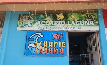 Acuario Laguna