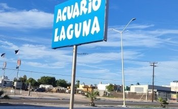 Acuario Laguna