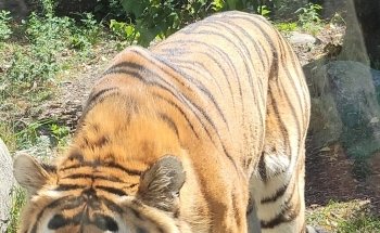 Indianapolis Zoo